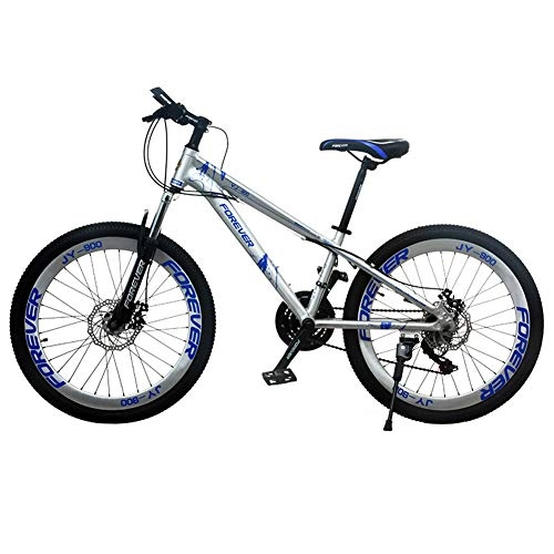 Fat Tyre Mountain Bike : ZTIANR Mountain Bicycle, 24 Inch Aluminum Alloy Frame 21 Speed Mountain Bike Shock-Absorbing Front Fork, Disc Brake, Blue