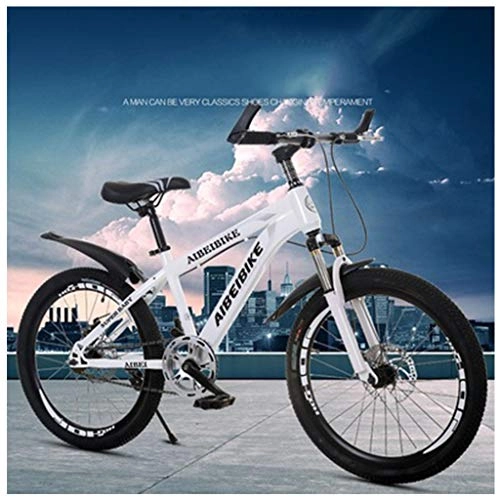 Mountain Bike : Adult Mountain Bike Single Speed Double Disc Brakes Shock Absorber Student Mountain Bike Shock Absorber Bicycle City Racing, White, 22inches