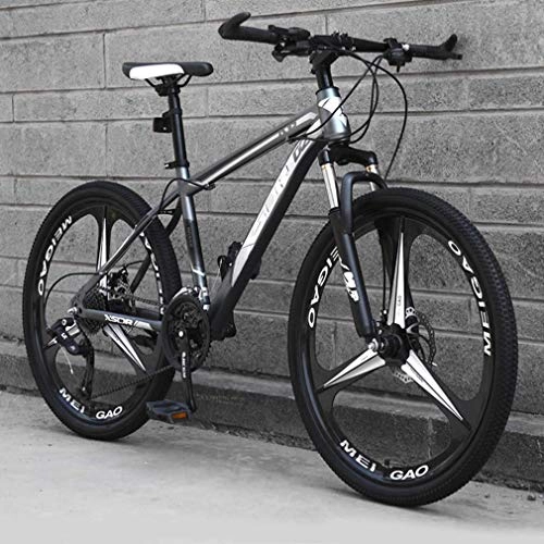 Mountain Bike : Alqn 26 inch Mountain Bike Adult, High-Carbon Steel Frame Bicycle, Snowmobile Bikes, Double Disc Brake Beach Bicycles, A, 24 Speed