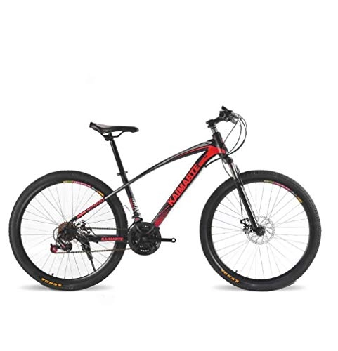 Mountain Bike : Alqn Adult Mountain Bike, Double Disc Brake Bikes, Beach Snowmobile Bicycle, Upgrade High-Carbon Steel Frame, 24 inch Wheels, Red, 21 Speed
