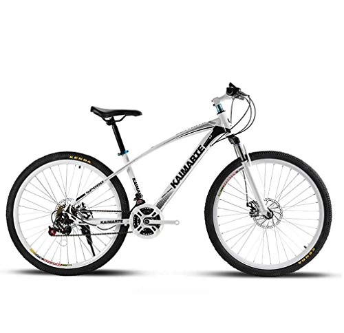 Mountain Bike : ALQN Adult Mountain Bike, Double Disc Brake Bikes, Beach Snowmobile Bicycle, Upgrade High-Carbon Steel Frame, 24 inch Wheels, White, 24 Speed