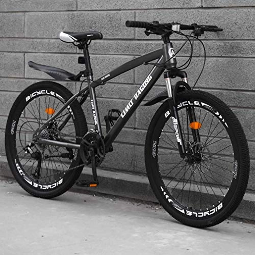 Mountain Bike : Alqn Adult Mountain Bike, High-Carbon Steel Frame Beach Bicycle, Double Disc Brake Off-Road Snow Bikes, Aluminum Alloy 24 inch Wheels, Grey, 27 Speed