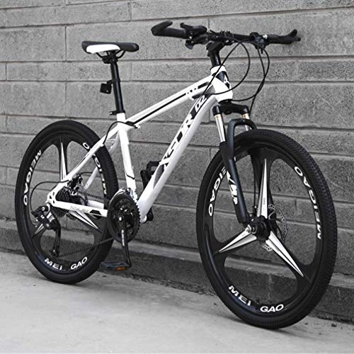 Mountain Bike : Alqn Adult Mountain Bike, High-Carbon Steel Frame Bicycle, Snowmobile Bikes, Double Disc Brake Beach Bicycles, 24 inch Wheels, B, 21 Speed