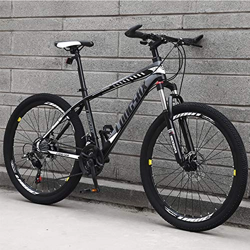 Mountain Bike : AP.DISHU 24 Speeds Mountain Bike, Unisex, Front+Rear Mudgard 24 / 26 Inch Wheels, Gray, 26inch