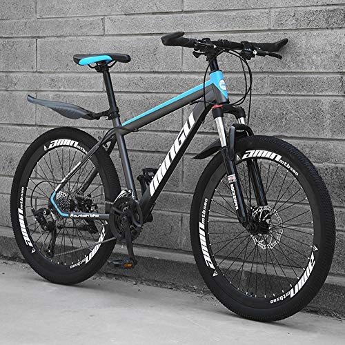 Mountain Bike : AP.DISHU Mountain Bike, Mechanical Disc Brakes Carbon Steel Frame 21-Speed Shiftable Bicycle Adult Outdoor Cross Country Bicycle, Blue, 24inch