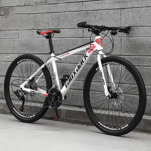 Mountain Bike : AP.DISHU Road Bike 24 Speed Gears Road Bicycle Dual Disc Brake Bicycle Spoke Wheel, 24inch