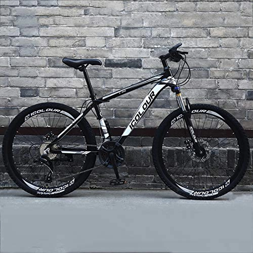 Mountain Bike : CPY-EX 26 Inch Mountain Bikes, Dual Disc Brake Mountain Bike, Mens Women High-Carbon Steel All Terrain Alpine Bicycle, 21 / 24 / 27 / 30 Speed, Spoke, C, 24