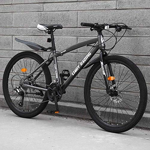 Mountain Bike : CXY-JOEL Adult 24 inch Mountain Bike for Men Women Off-Road Bicycle Double Disc Brake Bicycles High Carbon Steel Hard Tail Frame Rider Height 140-170Cm-Grey_24 Speed, Grey