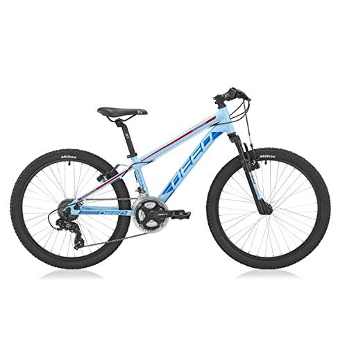 Mountain Bike : Deed Rookie 240 24 Inch 31, 75 cm Boys 21SP Rim Brakes Light blue / Red