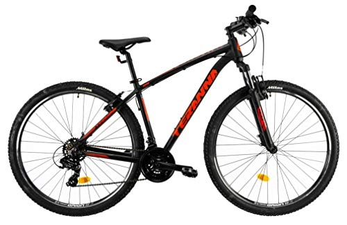 Mountain Bike : DHS Teranna 29 Inch 45 cm Men 21SP Rim Brakes Black