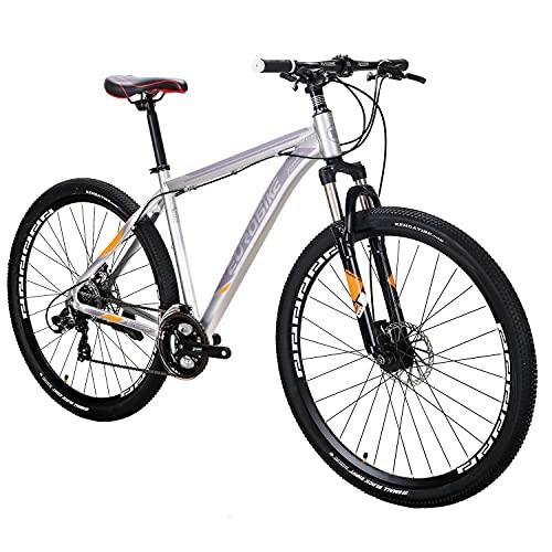 Mountain Bike : Eurobike X9 Mountain Bike 21 Speed 29 Inches Wheels Dual Disc Brake Aluminum Frame MTB Bicycle (X9 Silver-Muti Spoke Wheel)