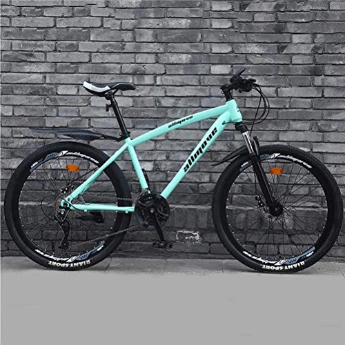 Mountain Bike : GOLDGOD Adult Hard-Tail Mountain Bike, 26 Inch Mtb Bicycle with Double Disc Brake And Double Shock Absorption High-Carbon Steel Mountain Bicycle, 21 speed