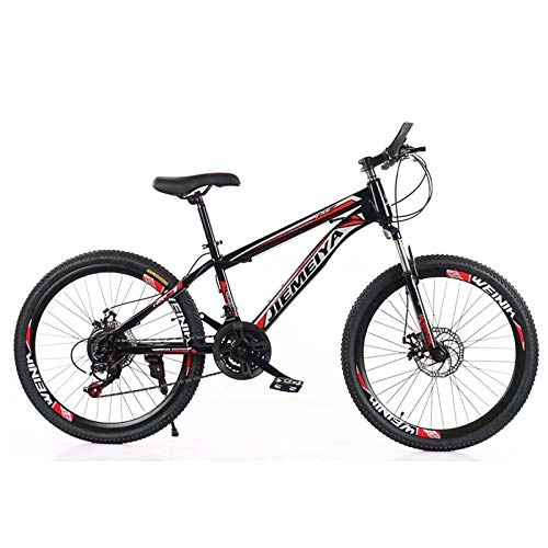 Mountain Bike : HAOWEN Mountain Bike 26 Inch, 21Speed With Double Disc Brake, Adult MTB, Hardtail Bicycle With Adjustable Seat, Spoke Wheel, B-24inches