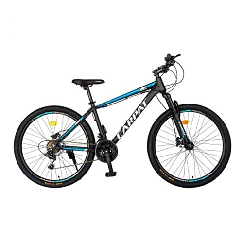 Mountain Bike : HGXC 29 Inch Mountain Bike with Suspension Fork Adult Road Offroad City Bike Steel Frame MTB for Youth Women Womens (Color : Blue)