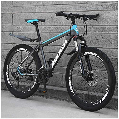 Mountain Bike : HYQW Mountain Bike 24 Inches, Double Disc Brake Frame Bicycle Hardtail with Adjustable Seat, Men's Mountain Bikes 21 / 24 / 27 / 30 Speed, Blue- 30 speed
