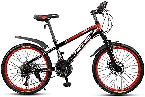 Mountain Bike : KKKLLL Mountain Bike Bicycle Double Shock Disc Brakes Speed Off-Road Adult Youth Pupils 21 Speed 22 Inches
