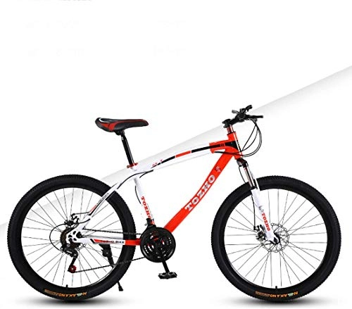 Mountain Bike : LBYLYH 26Inch Mountain Bike, Variable Speed Cushioning, Off-Road Double Disc Brake For Boys Bicycle Students, A, 24