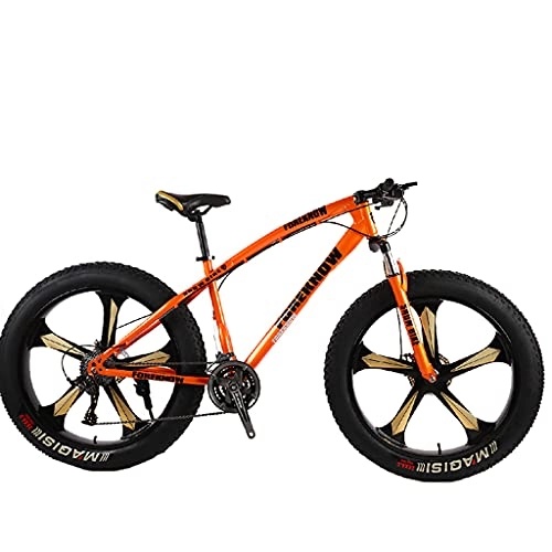 Mountain Bike : Mountain Bike Leopard-shaped male and female students variable speed (24 / 26 inch 21 speed)