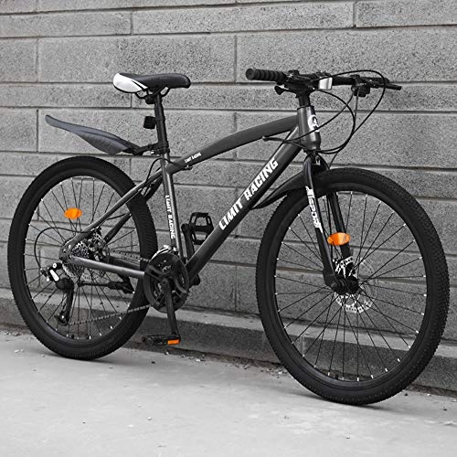 Mountain Bike : Mountain Bike Lightweight All Terrain MTB High-carbon Steel Speed Variable Speed Damping Disc Brake 26 Inches Road Bike A-24 Speed 24 Inches