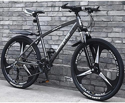 Mountain Bike : Mountain Bikes Bicycles, 30 Speeds Variable Speed Double Disc Brake Mountain Bike Lightweight Carbon Steel Frame Men And Women Road Bike, Grey, 24inch, superiorquality6