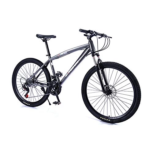 Mountain Bike : Mountain Folding Bike, 24" High Carbon Steel Frame Adult Cross Country Bicycle 21 Speed Dual Disc Brakes And Lockable Front Fork Super Clear Shifting Bicycle, Silver