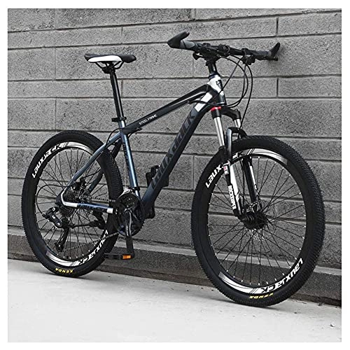 Mountain Bike : Outdoor sports MensDisc Brakes, 26 Inch Adult Bicycle 21Speed Mountain Bike Bicycle, Gray