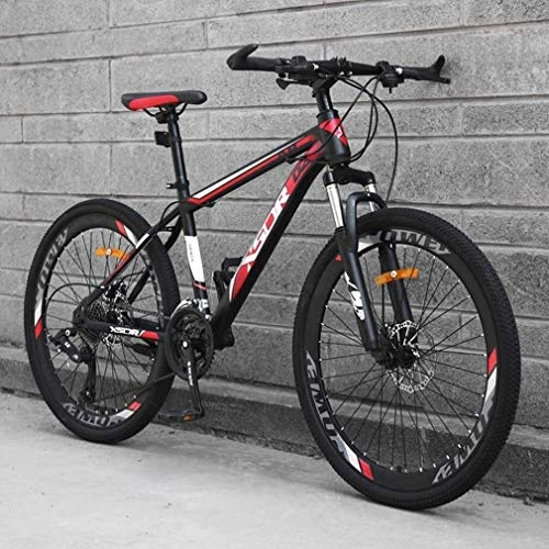 Mountain Bike : QZ Adult Mountain Bike, Snowmobile Bikes, Double Disc Brake Beach Bicycle, High-Carbon Steel Frame Bicycles, 26 Inch Wheels (Color : Red, Size : 24 speed)