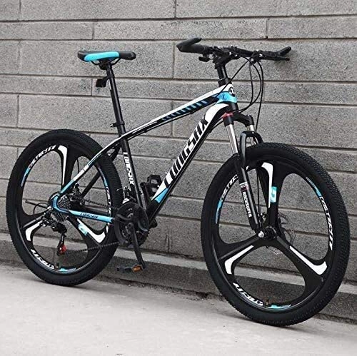 Mountain Bike : QZ Hardtail Bikes Mountain Bike Bicycle for Adults, Lightweight High-Carbon Steel Frame, Shock-Absorbing Front Fork, Double Disc Brake, Size:24 inch 24 speed, Colour:E