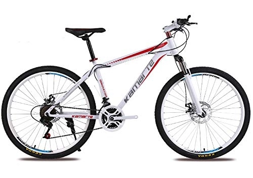 Mountain Bike : UR MAX BEAUTY Travel Bike 21-Speed Mountain Bike Students Adult Men and Women Race Bicycle Shifter with Aluminium Frame Disc Brake, c, 24 inch 27 speed