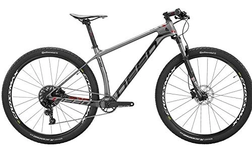 Mountain Bike : Vector Pro 294 29 Inch 44 cm Men 11SP Hydraulic Disc Brake Grey