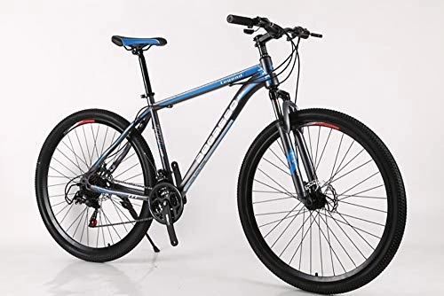 Mountain Bike : WANG-L 29-inch X19-inch Mountain Bike Adult Men Women Dual Disc Brake Shock Absorption Variable Speed Highway MTB Boy Girl Bicycle, Blue