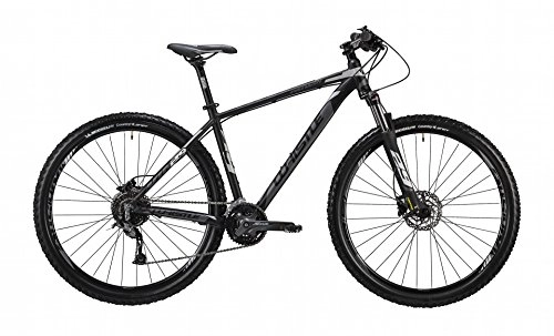 Mountain Bike : WHISTLE Mountain Bike Hardtail Toploader 29"Front Patwin 1832, 27Speed, Anthracitematt black, size M 19" (170185cm)
