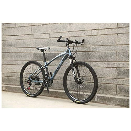 Mountain Bike : ZGQA-GQA Outdoor sports ForkSuspension Mountain Bike with 26Inch Wheels, HighCarbon Steel Frame, Mechanical Disc Brakes, And 2130 Speeds Drivetrain (Color : Grey, Size : 27 Speed)