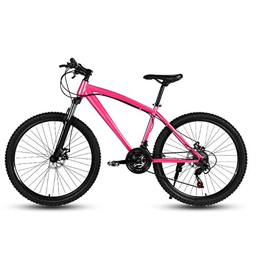 Mountain Bike : ZJBKX 24 Inch Mountain Bike, Variable Speed Double Disc Brake Male and Female Variable Speed Student Bicycle 21speed