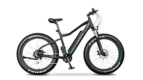 Elektrische Mountainbike : Argento Elephant+ 250W Motor 375WH Batterie Berg E-Fahrrad, 26-Zoll Rad Größe, Schwarz / Grün