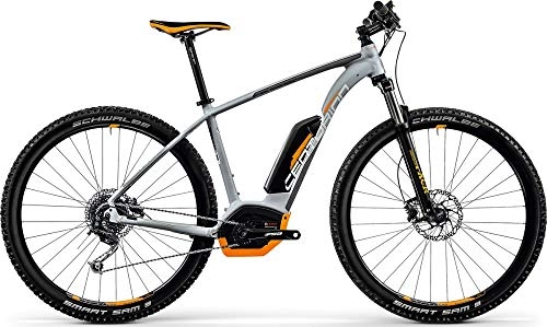 Elektrische Mountainbike : CENTURION Backfire E R750.29 2019, Rahmengröße:43 cm