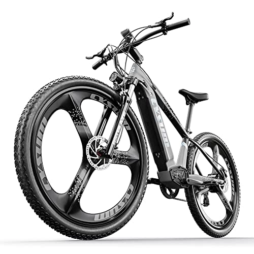 Elektrische Mountainbike : cysum CM-520 E-Bike 29" e-Mountainbike Abnehmbarer 48V 14Ah Akku e-Bike für Erwachsene (grau)