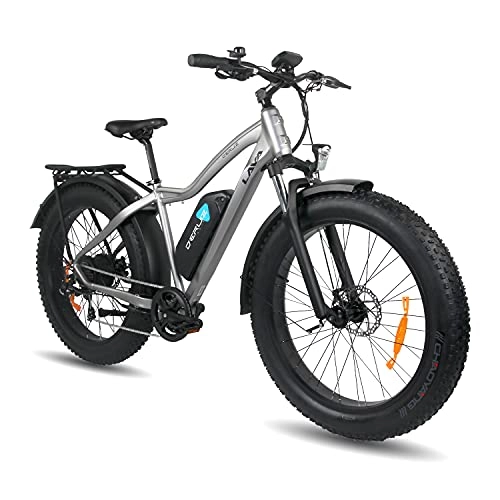 Elektrische Mountainbike : DERUIZ Lava E-Bike 26" Elektrische Fahrräder für Erwachsene Ebikes 48V 750W Herausnehmbarer 13Ah Batterie Dicke Übergroße Reifen Fahrrad Beach Cruiser Fat Bike(Grau)