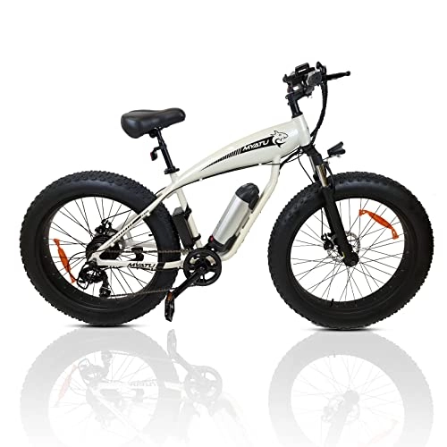 Elektrische Mountainbike : E-Bike Elektrofahrrad Mountainbike, 26 Zoll Fetter Reifen Elektrisches Fahrrad 250W Snowbike Pedelec mit Abnehmbarer 36V 10Ah Lithium-Batterie，Herren und Damen