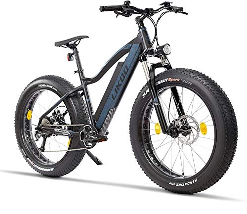 Elektrische Mountainbike : Fitifito FT26 Elektrofahrrad Fatbike E Bike Pedelec, 48V 250W Heckmotor, 48v 13ah 624wh Samsung Akku, hydraulische Bremsen, Büchel Scheinwerfer