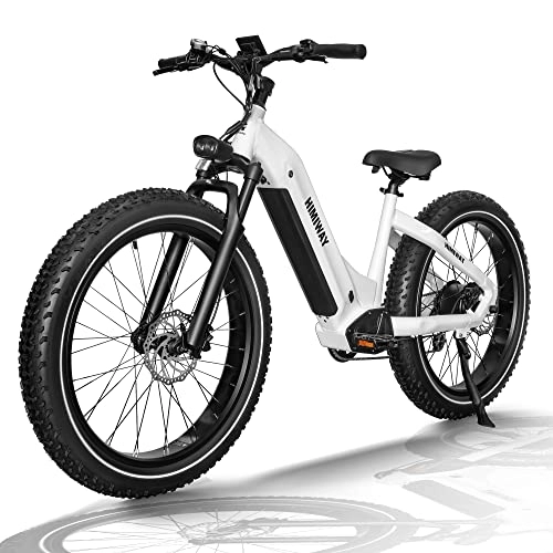 Elektrische Mountainbike : Himiway Zebra Step-Thru Ebike, 250W Elektrofahrräder für Erwachsene, 48V 20Ah 960Wh Superlange Fahrzeit E-Mountainbike, 26" X 4" Fettreifen, 25km / h zum Pendeln