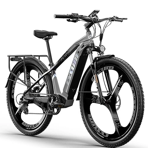 Elektrische Mountainbike : RICH BIT M520 E-Bike Männer Frauen, 29 Zoll E-Mountainbike, 48V Lithium-Ionen-Akku E-Bike, 7-Gang-Elektrofahrrad (grau05)