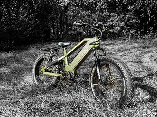 Elektrische Mountainbike : Stalker Mad Bike Carnivore Tropical Green – Electric Fat Bike 26 x 4, 8 1000 W 48 V 30 Ah 160 Nm (Tropical Green)
