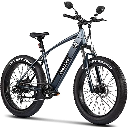 Elektrische Mountainbike : W Wallke E Bike 26 Zoll Fatbike F2 für Erwachsene | Fat Tire Elektrofahrrad | 48V 10.4Ah Lithium Akku und Shimano 7-Gang Fatbike für kleine Hügel und verschneite Wiesen, grau