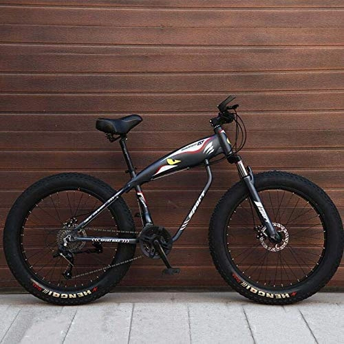 Fat Tire Mountainbike : ALQN Mountainbike-Fahrrad fr Erwachsene, Fat Tire Mbt Bike, Rahmen aus kohlenstoffhaltigem Stahl, Doppelscheibenbremse, 26-Zoll-Rder, Grau, 24 Geschwindigkeit