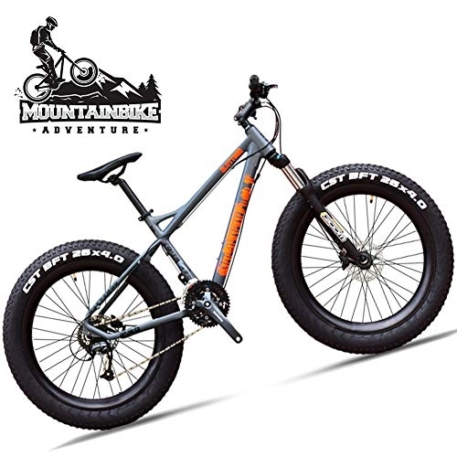 Fat Tire Mountainbike : NENGGE Hardtail MTB 26 Zoll für Erwachsenen Herren Damen, 27 Gang-Schaltung Fette Reifen Mountainbike mit Hydraulische Scheibenbremse, Unisex Jugend Fahrräder mit Gabelfederung, Grau