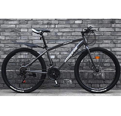 Mountainbike : AP.DISHU 24 Zoll Rennrad Doppelscheibenbremse Rahmen Aus Kohlenstoffreichem Stahl Rennrad City Utility Bike, Grau, 24 Speed