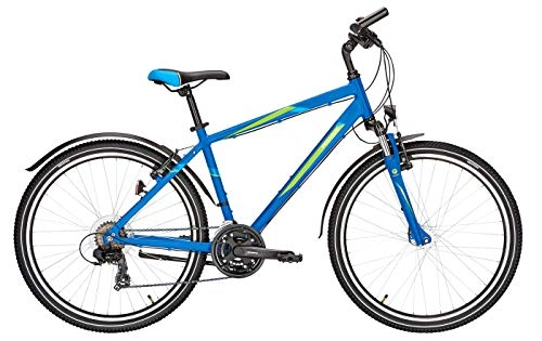 Mountainbike : Jugend Fahrrad 26 Zoll blau - Pegasus Avanti Sport Jungen Trekkingrad - Shimano Kettenschaltung, STVZO Beleuchtung