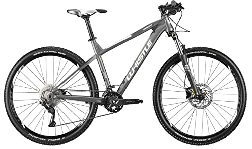 Mountainbike : Mountainbike WHISTLE Modell 2021 MIWOK 2160 27.5" Farbe grau / weiß (S)