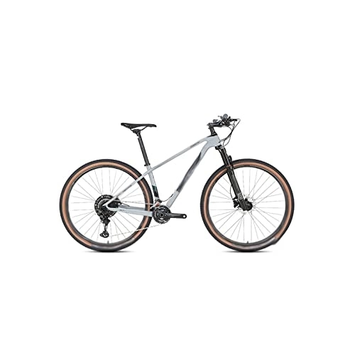 Mountainbike : TABKER Rennrad, 24-Gang-MTB, Karbonfaser, Mountainbike mit 2 x 12-Schaltung, 27, 5 / 29 Zoll Offroad-Bike (Farbe: Grau, Größe: klein)